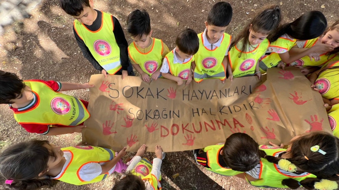 4 Ekim Hayvanları Koruma Günü 